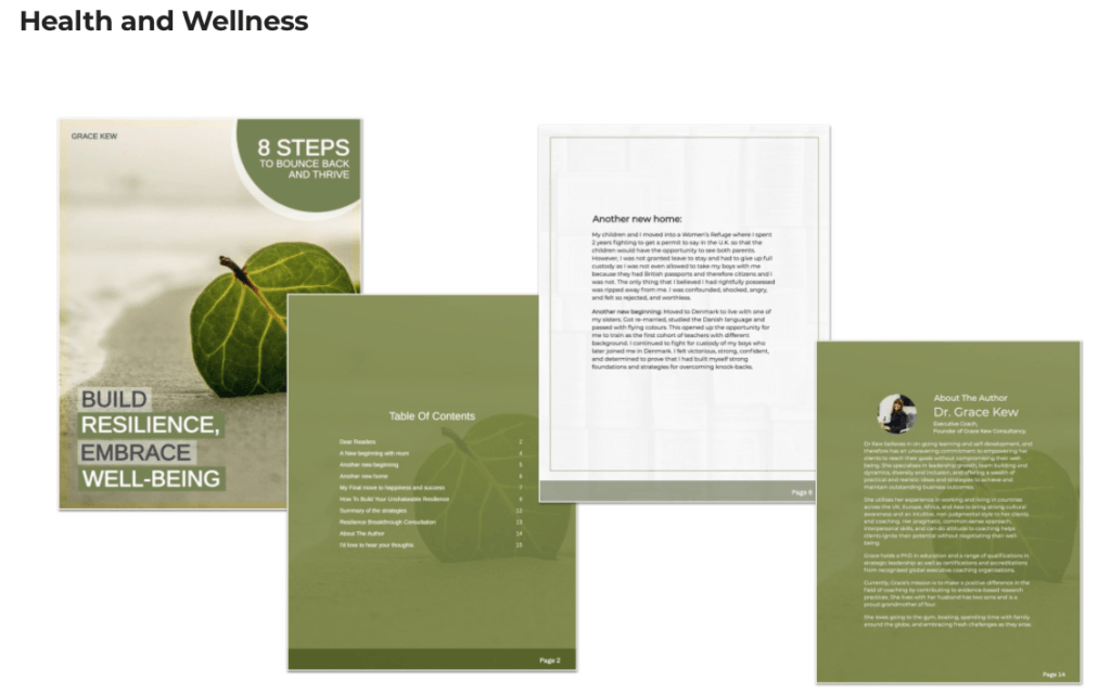 Samples of eBooks Created With Designrr